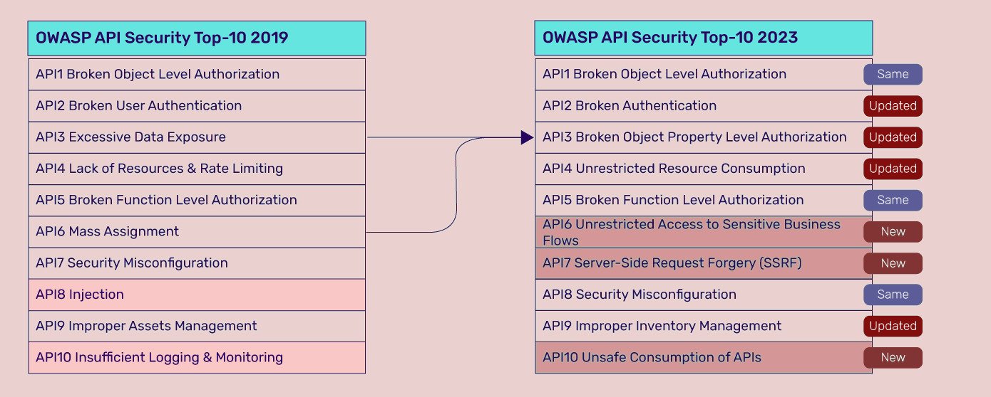 Safeguarding the Digital Realm: Understanding the OWASP Top 10 API Security Risks for 2023