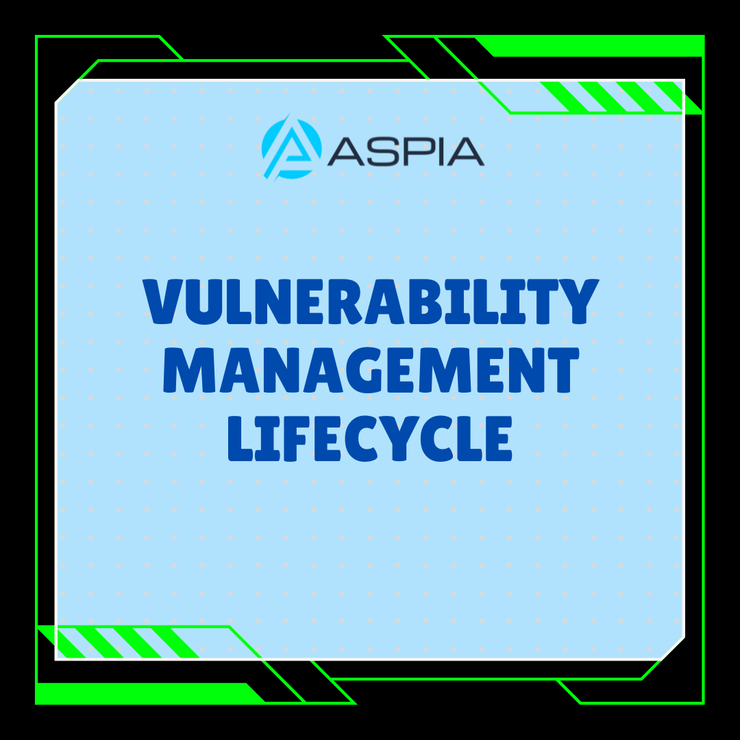 Navigate the Vulnerability Management Lifecycle: Maximizing Its Vital Role in Disaster Management