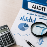 Audit Sampling- Meaning, Types, Methods, Techniques & Examples