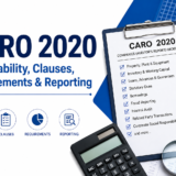 CARO 2020 Audit Checklist